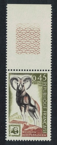 European mouflon coin - european,