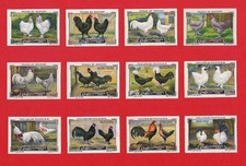 POSTER STAMPS HENS BRAHMA