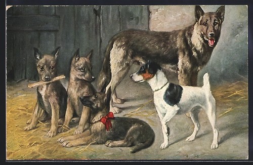 Berger avec chiot - , autre