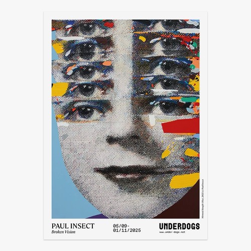 Paul insect vision - insect, « vision