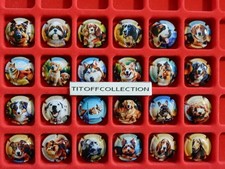 la série de 24 capsules de