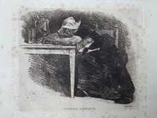 Griserie Flamande - Félicien