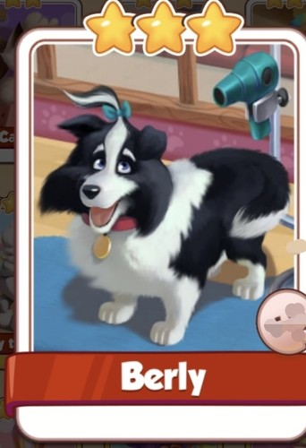 Berly pet salon set - berly,