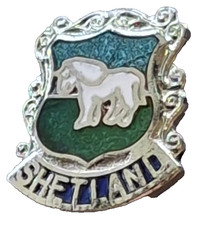 Insigne petite broche Shetland