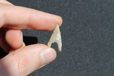 Préhistoire Néolithique Pointe de Flèche Silex 2,2 cm Mali Sahara Biface