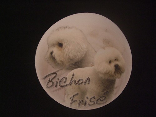 Tapis souris bichon frise - de,