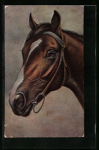 Carte postale artiste - d'artiste, cheval