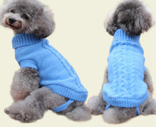 Pull pour chien ou chat petite