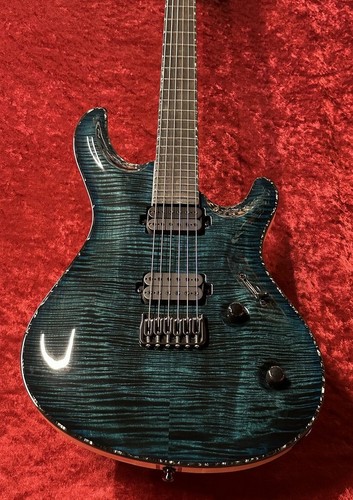 Mayones regius core trans - regius, -trans
