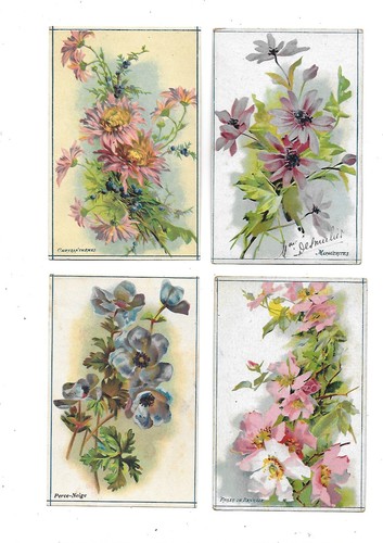 Anciens chromos images - 4,