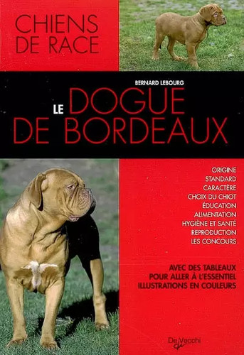 Dogue bordeaux bernard - de,
