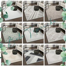 Tapis Salon à Poils Ras avec