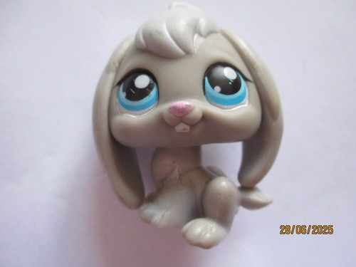 Petshop lapin belier 346 - lapin,