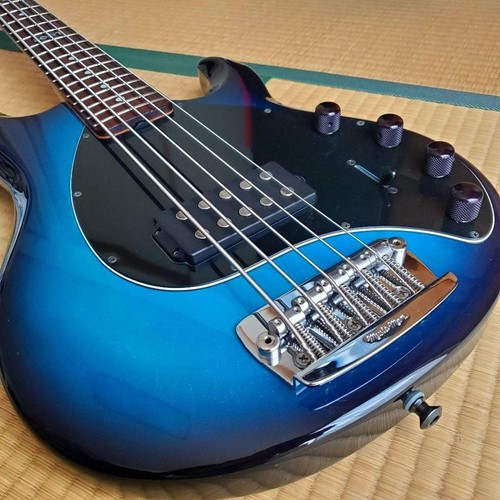 Coque rigide ernie - ball, music