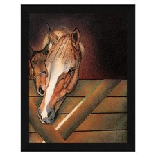 Deux Chevaux Chanceux Vastu