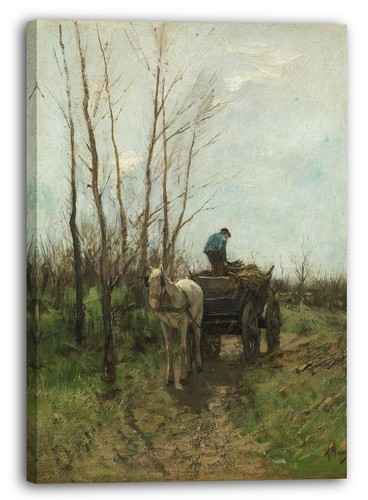 Toile cadres anton - anton,