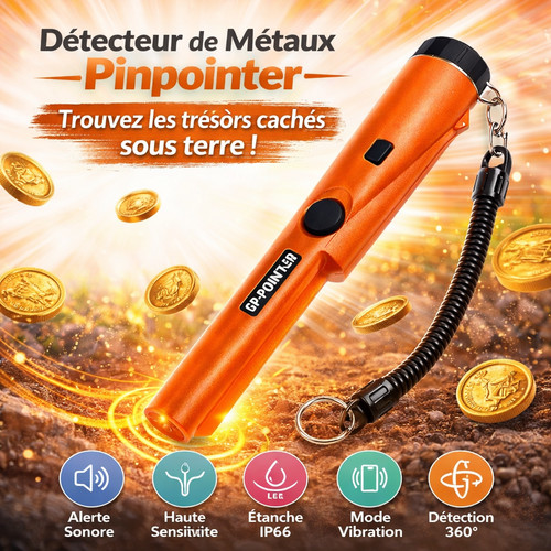 Détecteur métaux portable - de,