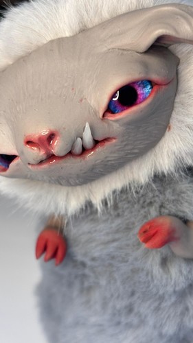 Chaton sauvage forêt - chaton,