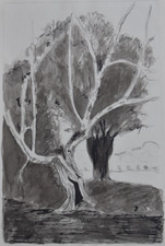 Marquis de la Clémendière (1914-1994) (28) - encre - Paysage