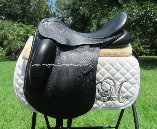 County epiphany dressage - 18",