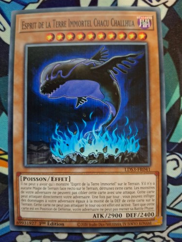 Carte esprit de - yu-gi-oh, la