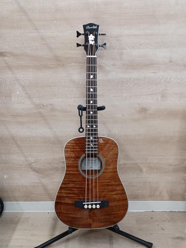Guitare basse acoustique