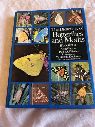 The dictionary butterflies - the,