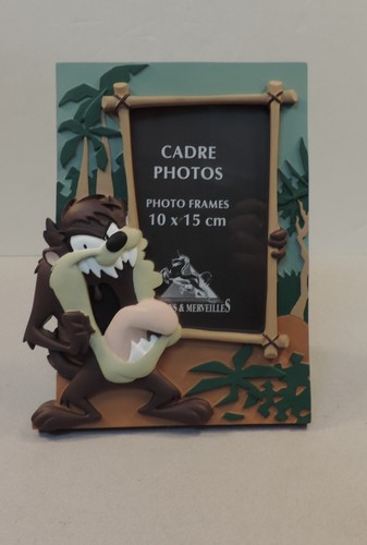 Taz looney tunes cadre photo - taz,
