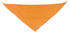 BANDANA FOULARD FANION