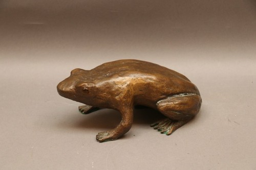 Grenouille feuillue - ,