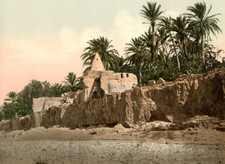 Biskra. Marabout near Biskra.  Vintage photochromic PZ, Algeria photochromic