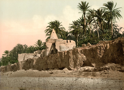 Biskra marabout près - près, de