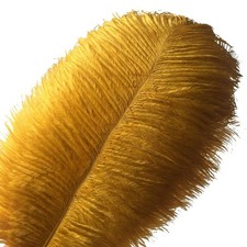 Lot de 10 plumes d’autruche