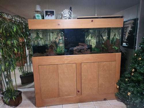 280 gallon aquarium - gallon,