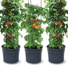 3 x pot pour plante de tomate