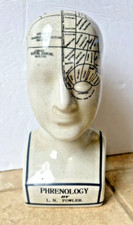 Phrenology Head Statue Map of