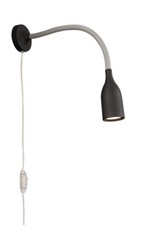 Massive Applique Gecko