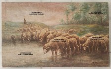 1922 A Vlieghe ? Le berger et