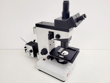 Microscope Inversé Wild Leitz