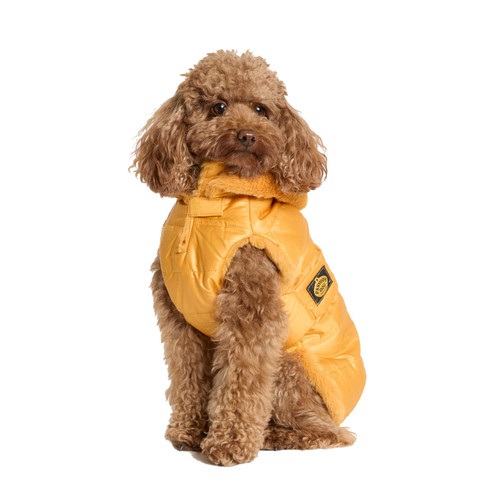 Manteau pour chien fashion - pour,