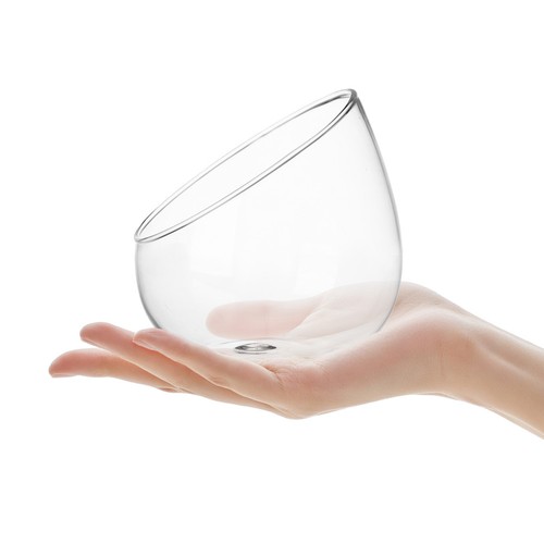 Bouteilles verre terrarium - bouteilles,