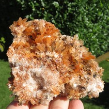 Minéraux *** STRAORDINAIRE RICHE De CREEDITE ORANGE Avec FLUORITE Mexique