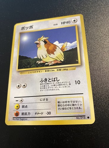 Pokemon card carte pidgey - pokemon,