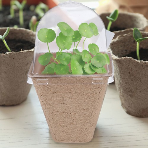 Pcs plantoir pot de - pot,