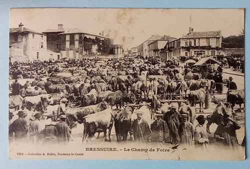 Cpa bressuire le champ - (79),,