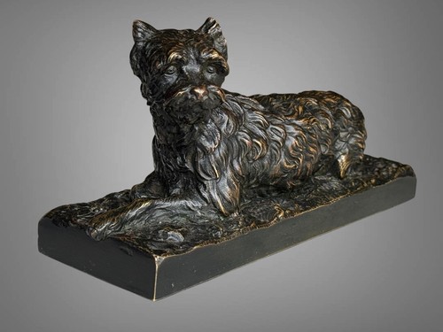 Chien griffon couché en - ", "