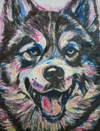 Tableau dessin chien loup - tableau,