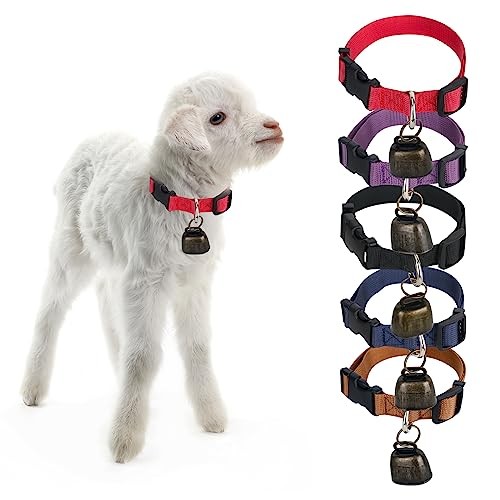 Lot colliers de - de, 5
