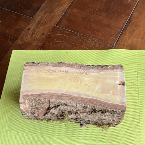 ébauche bois ginkgo biloba - bois,