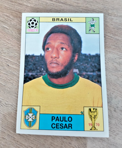 Sticker panini world cup - cup, story